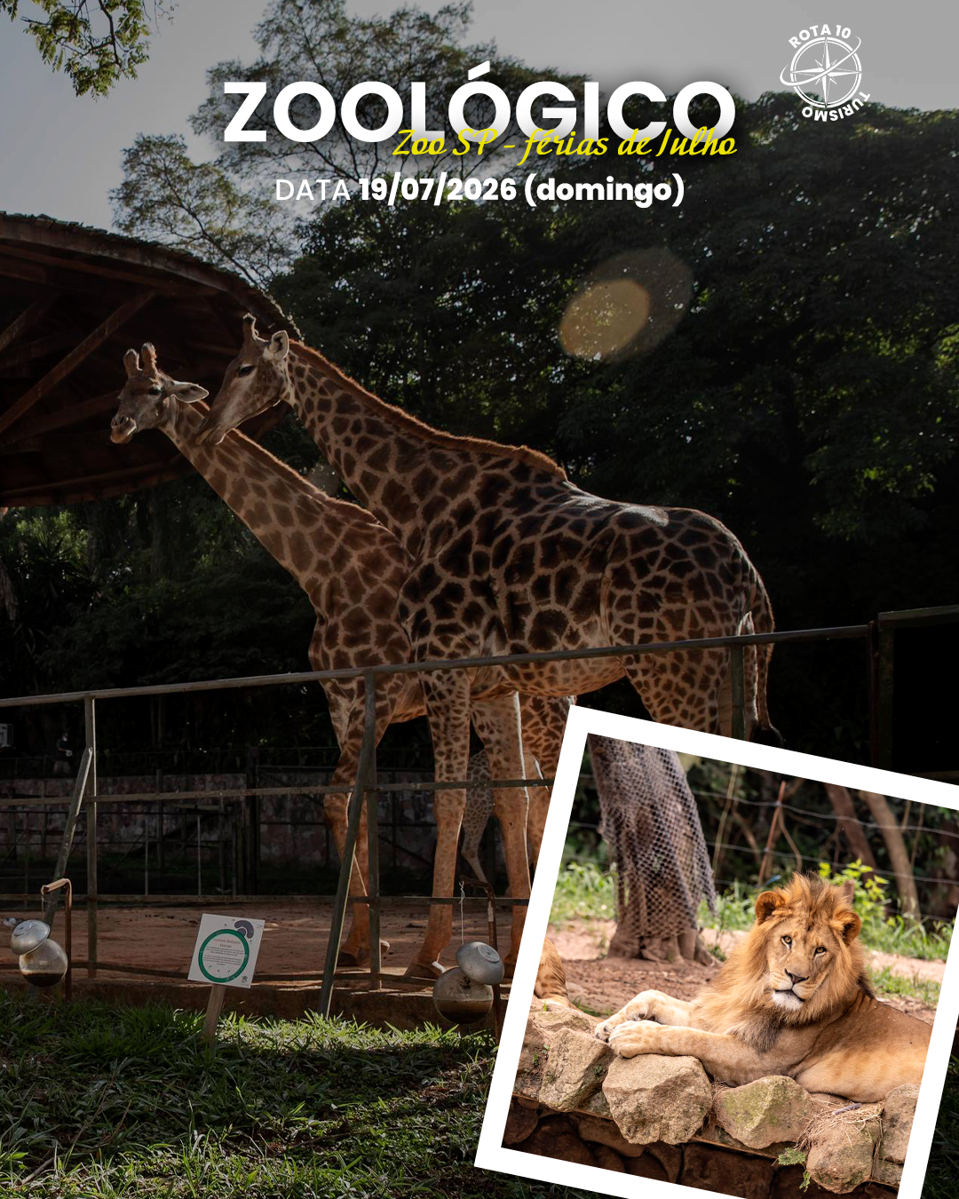Zoo SP