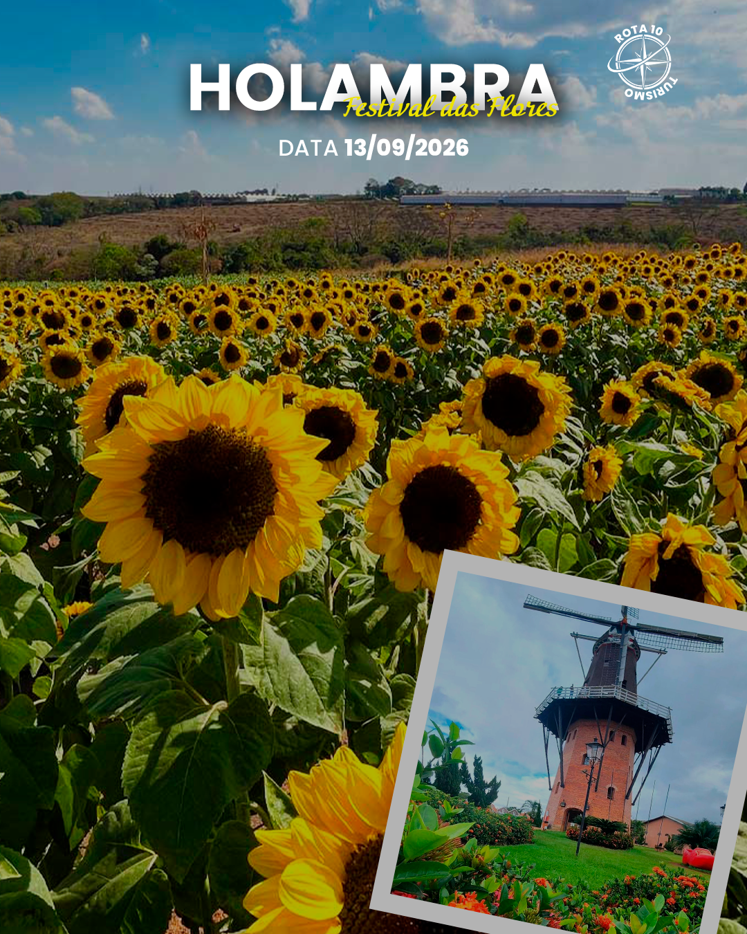 Holambra/SP